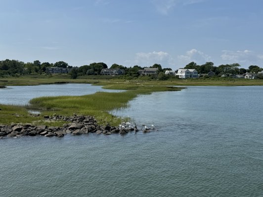 Hyannis Whale Watcher Cruises by null