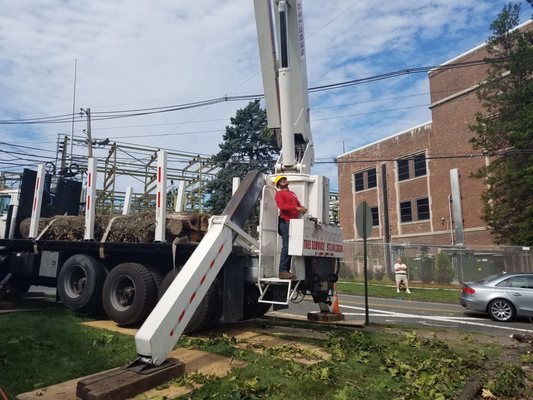 WOODPECKER TREE SERVICE - Updated January 2025 - 105 Photos & 29