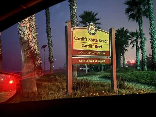 Cardiff State Beach by null