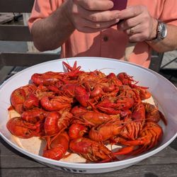 The Local - Crawfish