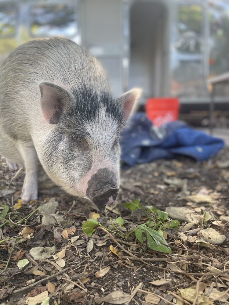 OUTDOORSY ADVENTURES & RESORT Updated May 2024 Yelp