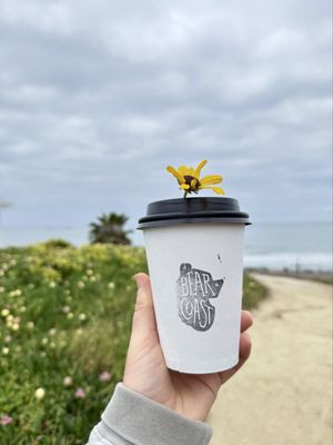 Bear Coast Coffee by null