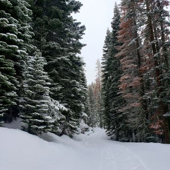 Yuba Pass Sno-Park - Parks Near Me Yuba Pass Sno-Park - Parks Near Me