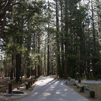 Pineknot Family Campground - more big trees - Campgrounds Near Me - Big Bear, California Pineknot Family Campground - more big trees - Campgrounds Near Me - Big Bear, California