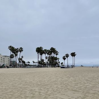 Venice Statepark - Beaches Near Me - Venice, California Venice Statepark - Beaches Near Me - Venice, California