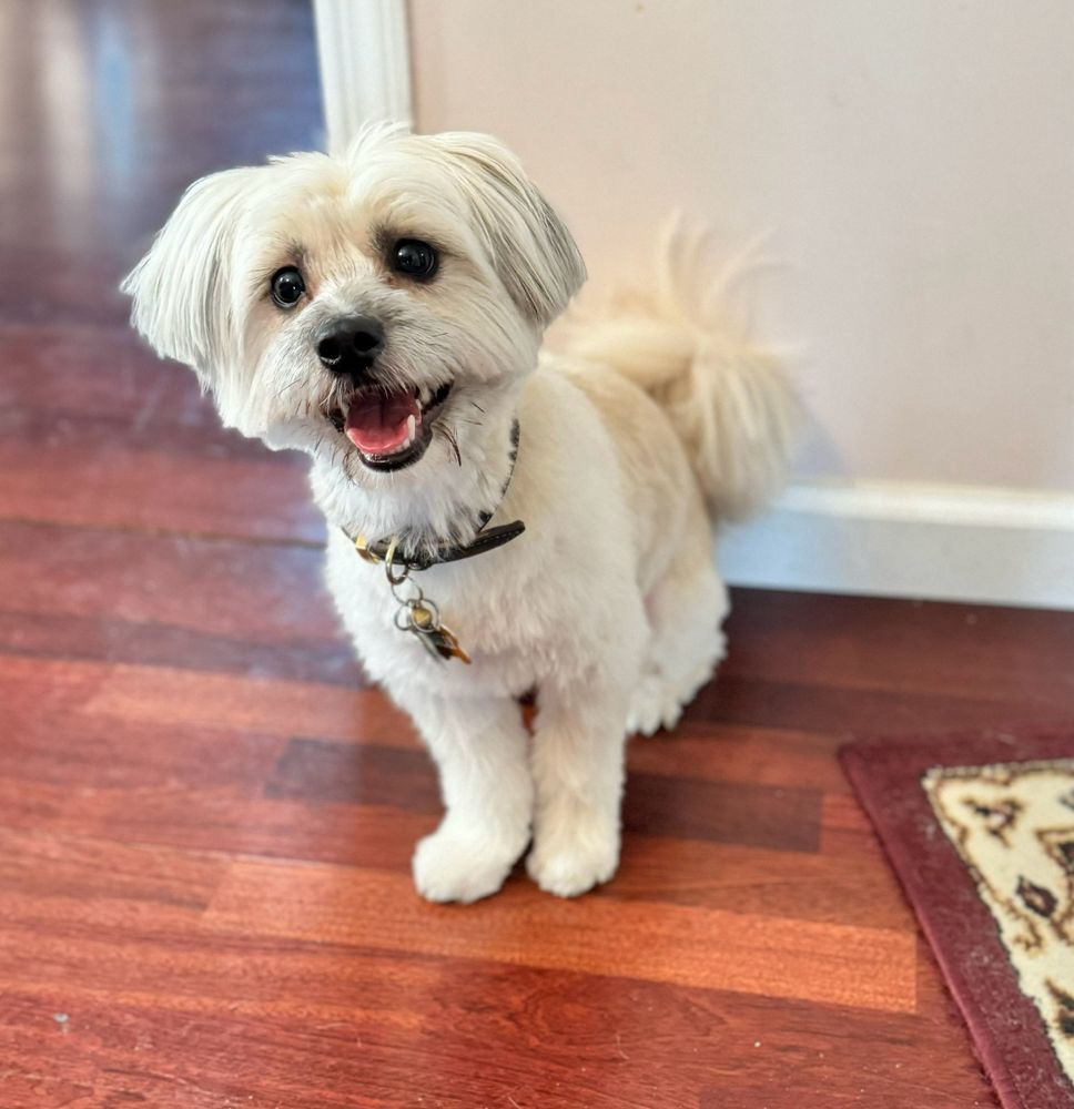 UNIVERSAL PET CARE Updated September 2024 65 Photos & 25 Reviews