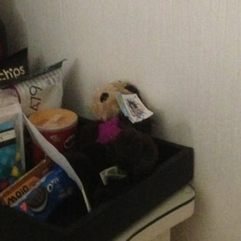 Kimpton Hotel Monaco Seattle - Otter stuffed animal! - Hotels Near Me - Seattle, Washington
