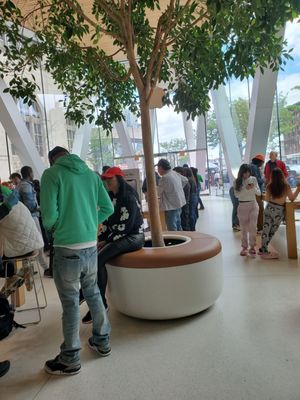 Apple Downtown Brooklyn by null
