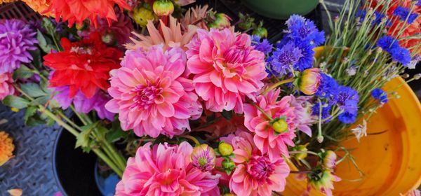 Ferry Plaza Farmers Market by null Ferry Plaza Farmers Market by null