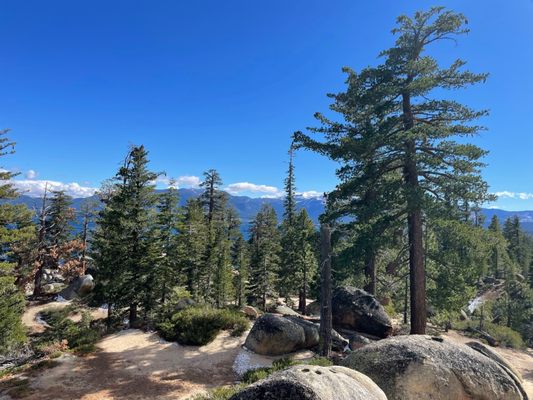D. L. Bliss State Park by null