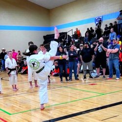 Evolutionary Martial Arts