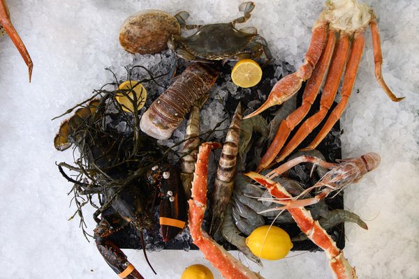 Blue Island Fish Market by null