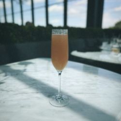 RH Charlotte | The Gallery at Phillips Place - Peach Bellini