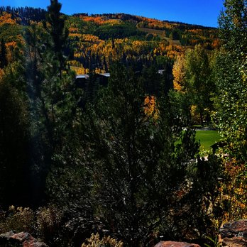 Betty Ford Alpine Gardens - Botanical Gardens Near Me - Vail, Colorado