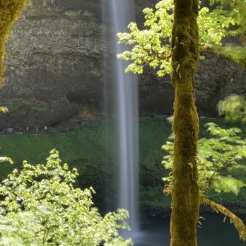 Silver Falls State Park - Hiking Near Me - Sublimity, Oregon Silver Falls State Park - Hiking Near Me - Sublimity, Oregon