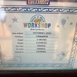 Build-A-Bear Workshop