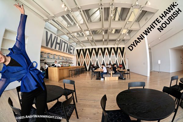 Whitney Museum of American Art by null