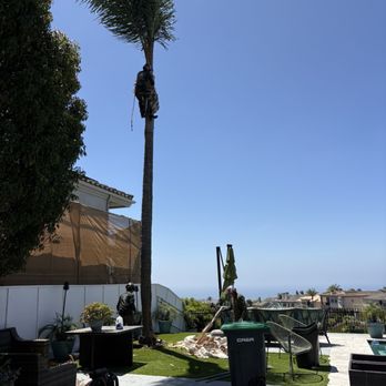 Padilla Tree Service - Tree Services Near Me Padilla Tree Service - Tree Services Near Me