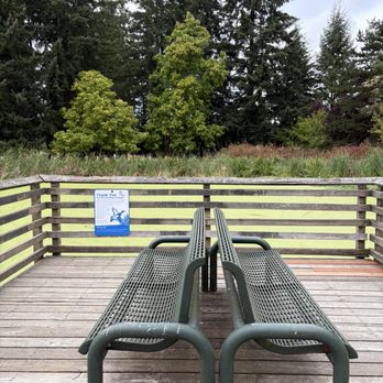 Cochrane Memorial Park - Parks Near Me - Yelm, Washington Cochrane Memorial Park - Parks Near Me - Yelm, Washington
