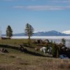 Experience Yellowstone Tours gift card