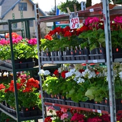 Country Farms - Everett