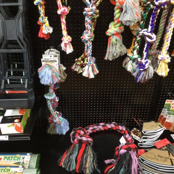 Healthy Pet - North Austin - Pet Stores Near Me - Austin, Texas Healthy Pet - North Austin - Pet Stores Near Me - Austin, Texas