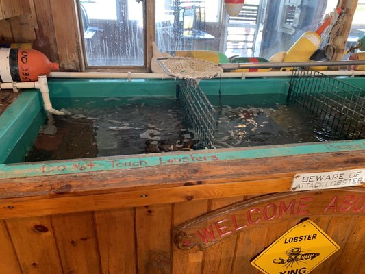 The Lobster Pool by null