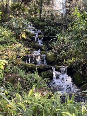 Rainbow Springs State Park by null
