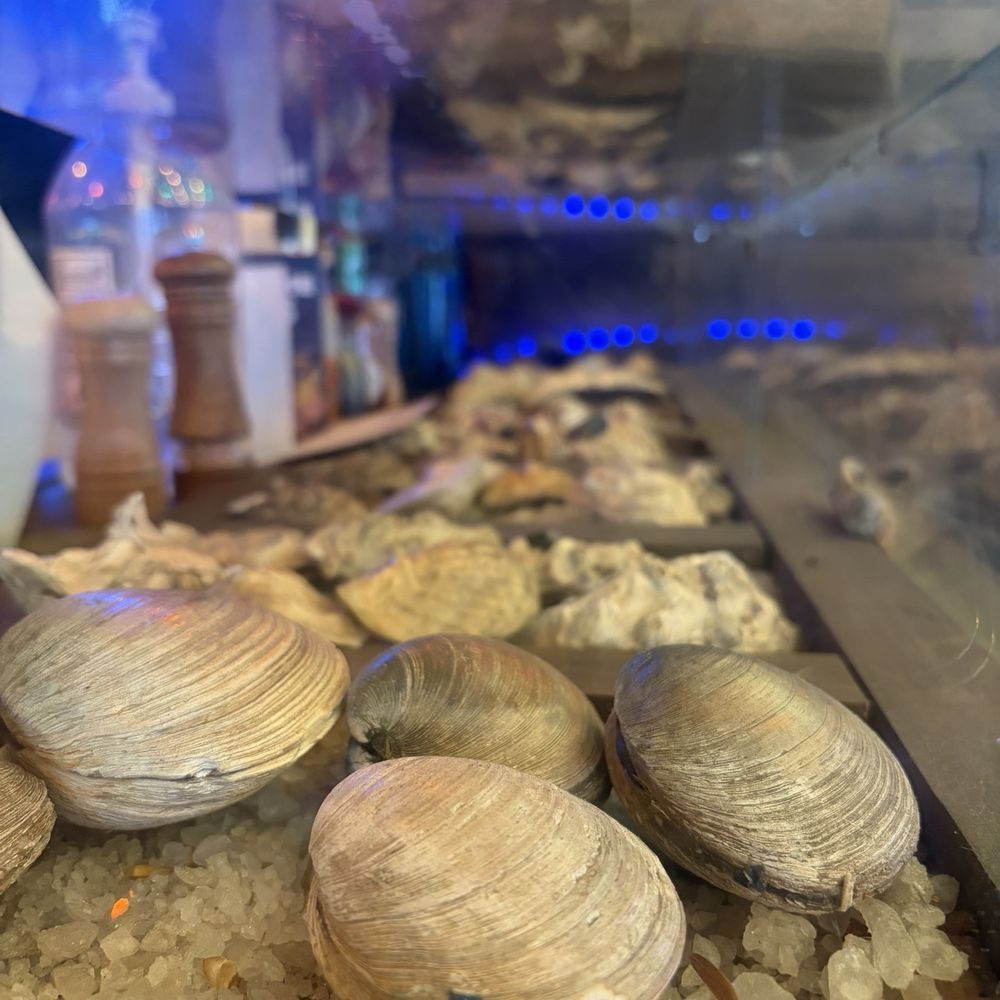 The Oyster Shack - Decor at the bar - Seafood Near Me - San Juan, Puerto Rico The Oyster Shack - Decor at the bar - Seafood Near Me - San Juan, Puerto Rico