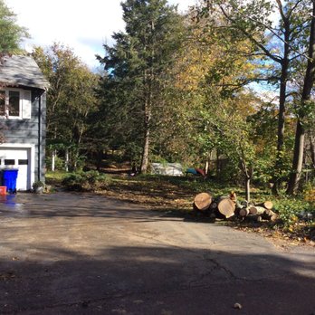 Sotil Tree Service - Tree Services Near Me - Suffield, Connecticut Sotil Tree Service - Tree Services Near Me - Suffield, Connecticut