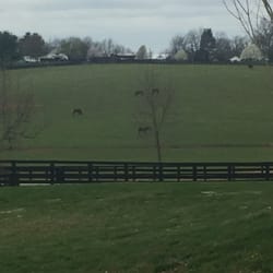 Endeavor Farm - Rolling hills of KY.