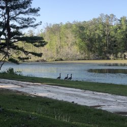 Beaver Lake - Beaver Lake