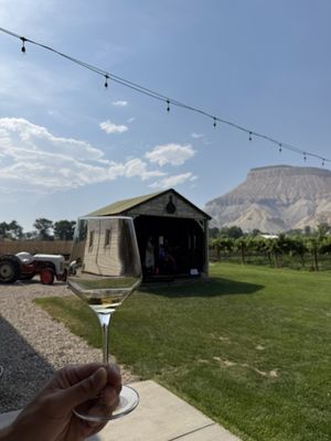 Carboy Winery at Mt. Garfield Estate by null