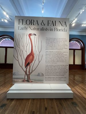 Key West Museum of Art & History at the Custom House by null