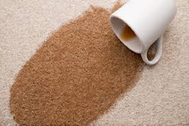 America's Choice Carpet Cleaning