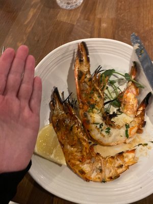 SOLE Seafood & Grill by null