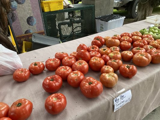 The Vineyard Farmer's Market by null