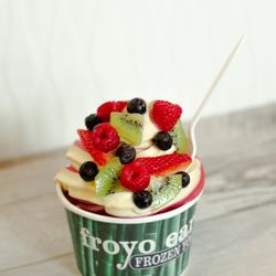 Froyo Earth
