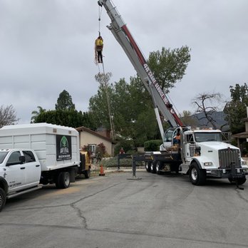 Avina Tree Service - Tree Services Near Me