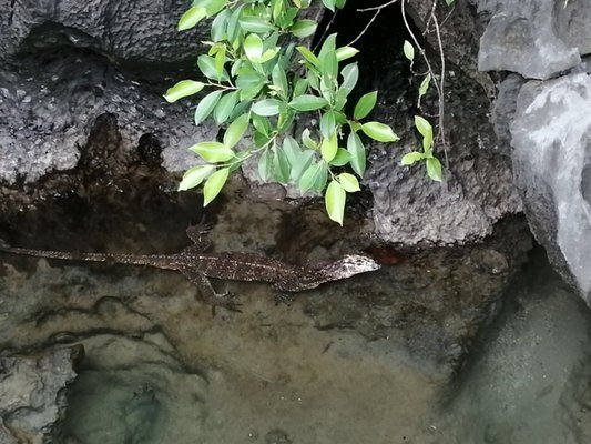Kayangan Lake by null
