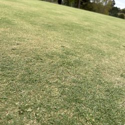 Lumberjack National - One of the better greens