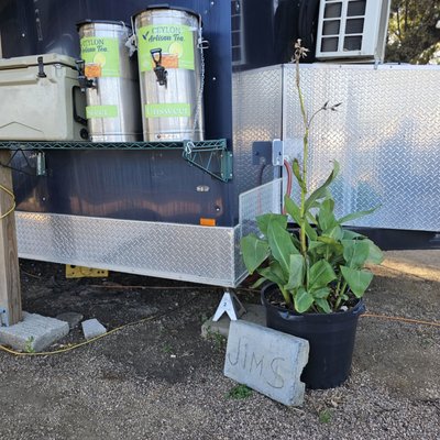 Jims Smokehouse Four Points by null