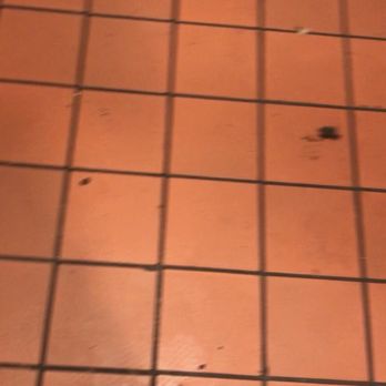 Chipotle Mexican Grill - Restroom floor - Fast Food Near Me - Valencia, California Chipotle Mexican Grill - Restroom floor - Fast Food Near Me - Valencia, California