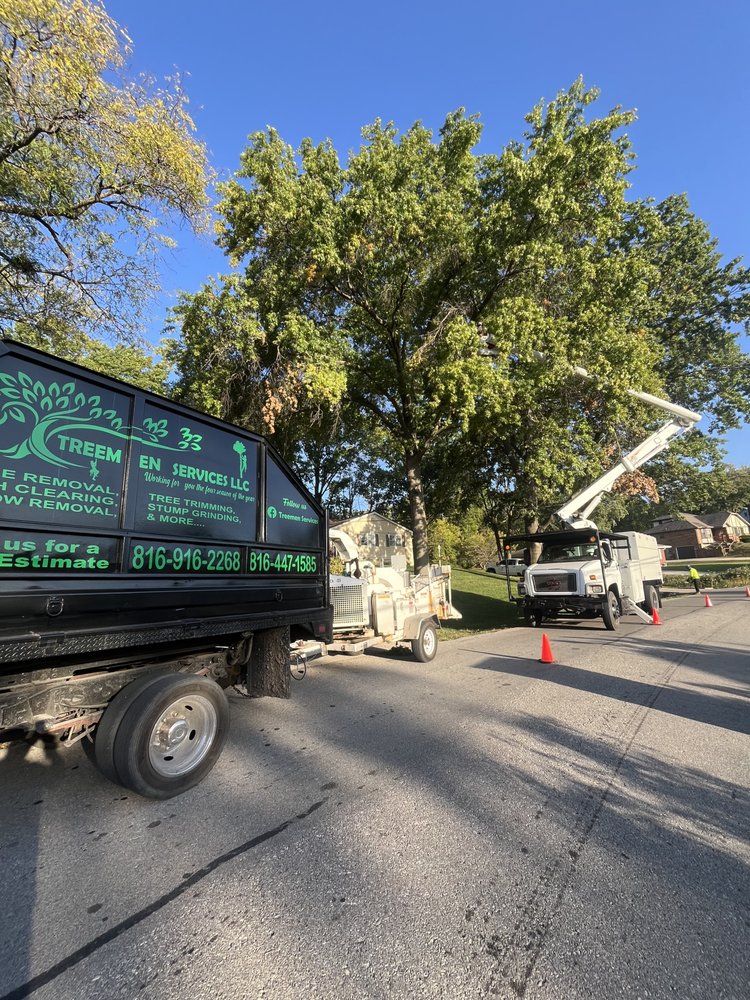 Treemen Services - tree service in Kansas City, MO