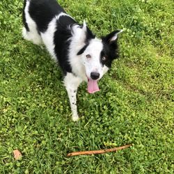 David Clark, Licensed Marriage and Family Therapist