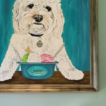Charlie's Silver Spoon Creamery - Ice Cream & Frozen Yogurt Near Me - Aurora, Illinois