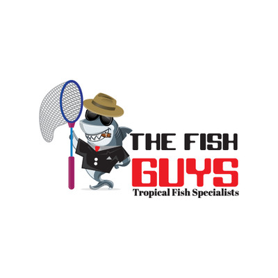 The Fish Guys by null