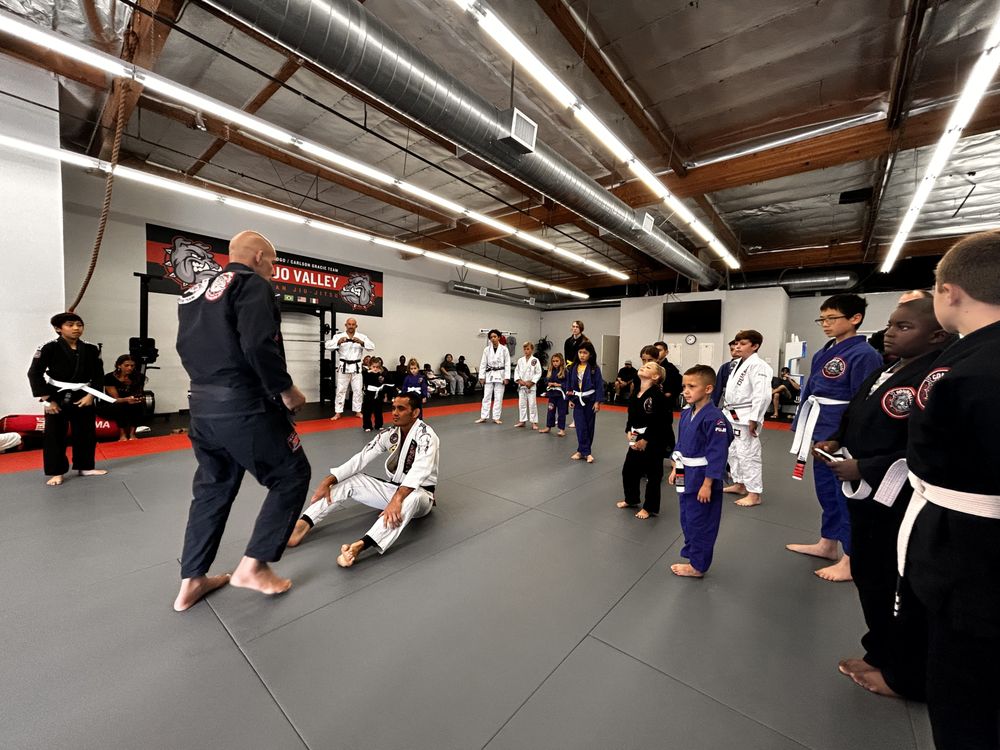 Conejo Valley Brazilian Jiu-Jitsu Logo