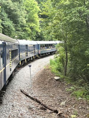 Blue Ridge Scenic Railway by null