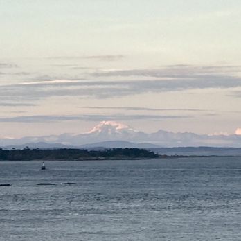 Oak Bay Beach Hotel - Hotels Near Me - Victoria, British Columbia Oak Bay Beach Hotel - Hotels Near Me - Victoria, British Columbia